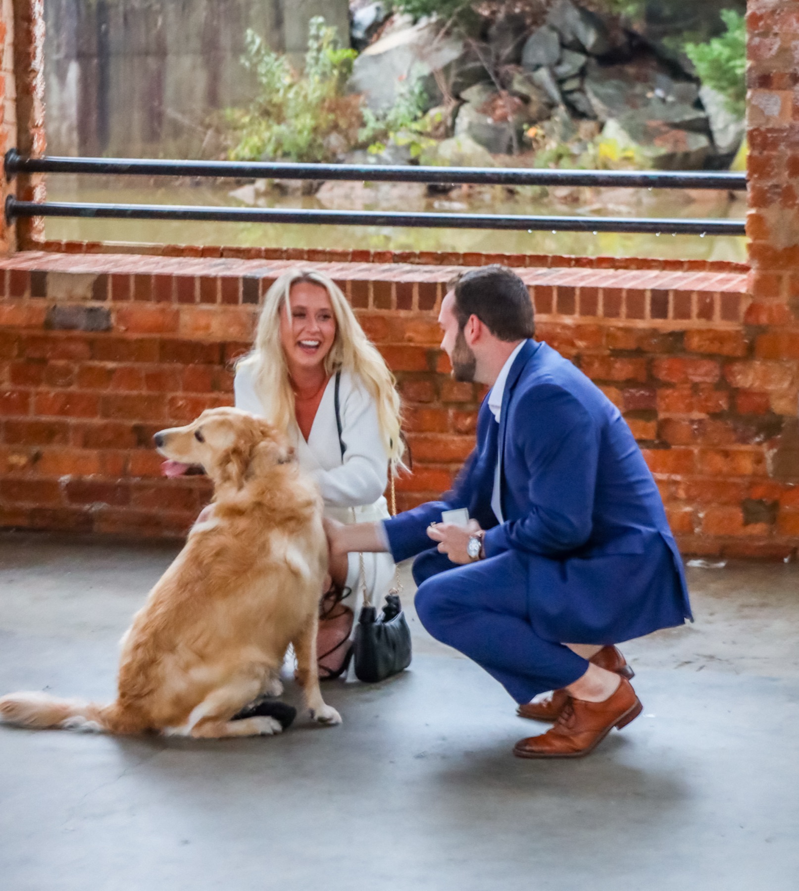 The couple crouched with their golden retriever right after the yes