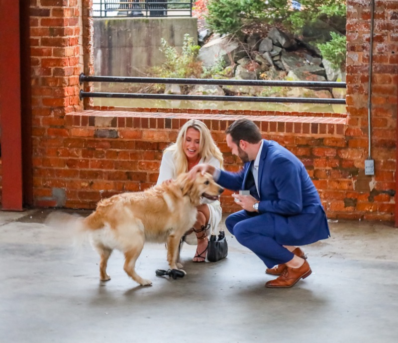 Their golden retriever joins the celebration