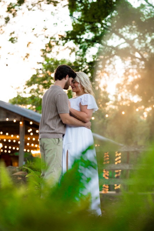 Golden hour by the barn